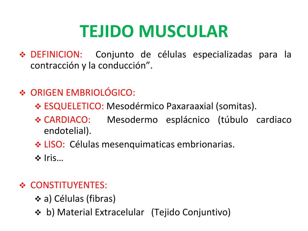 TEJIDO MUSCULAR DEFINICION: Conjunto de células especializadas para la contracción y la conducción .