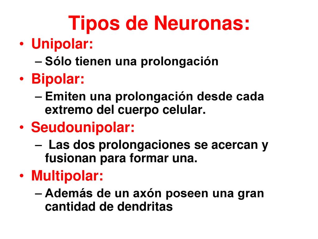 Tipos de Neuronas: Unipolar: Bipolar: Seudounipolar: Multipolar: