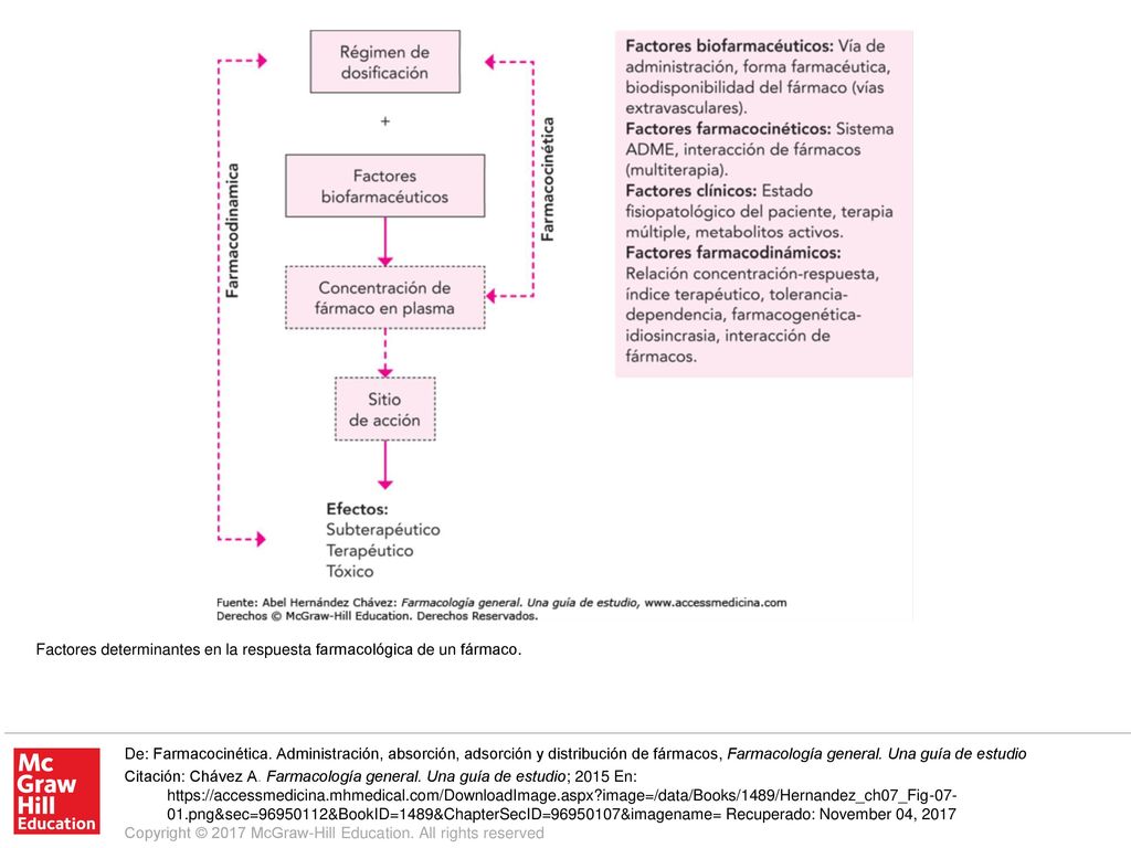 Factores determinantes en la respuesta farmacológica de un fármaco.