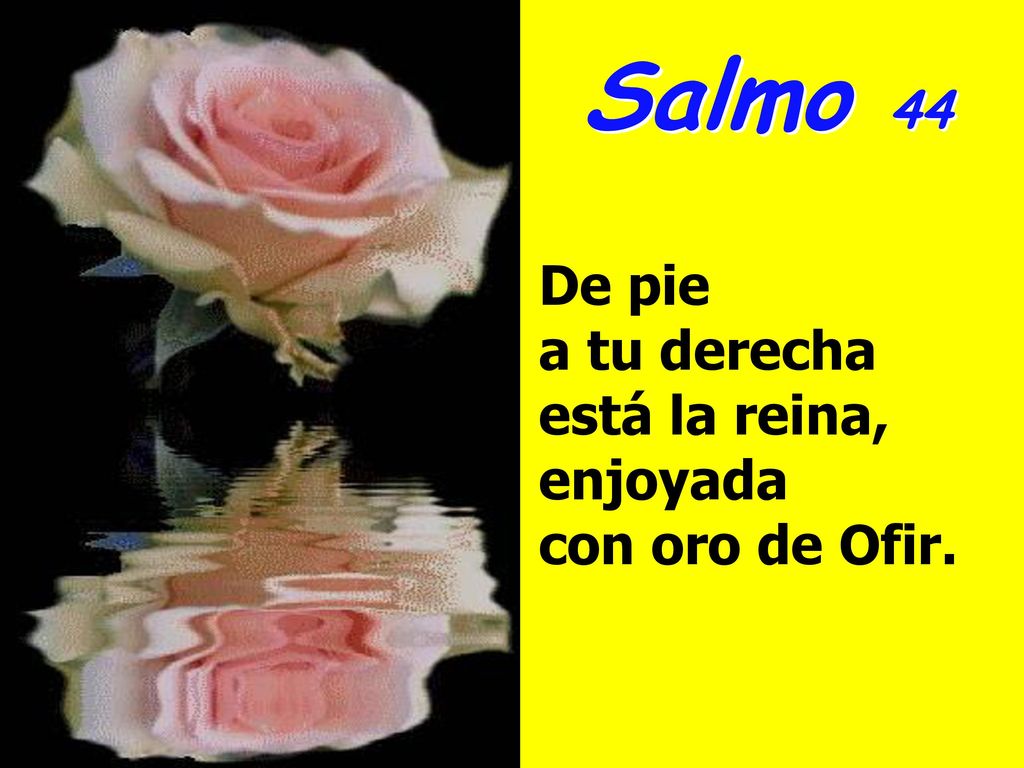 Salmo 44 De pie a tu derecha está la reina, enjoyada con oro de Ofir.