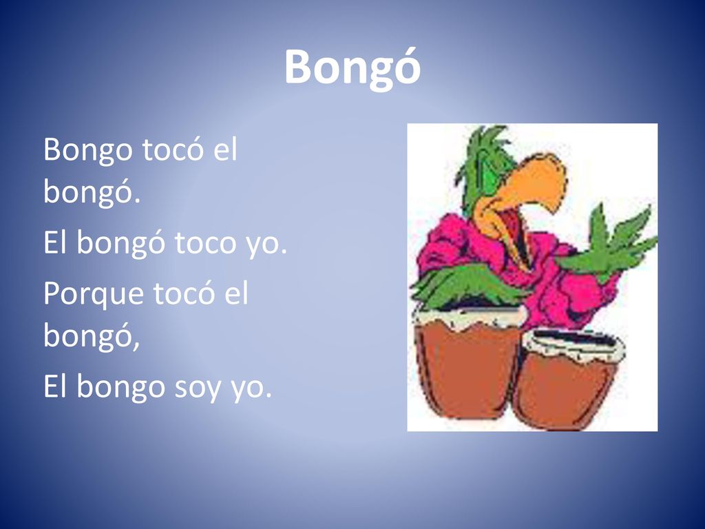Bongó Bongo tocó el bongó. El bongó toco yo. Porque tocó el bongó, El bongo soy yo.