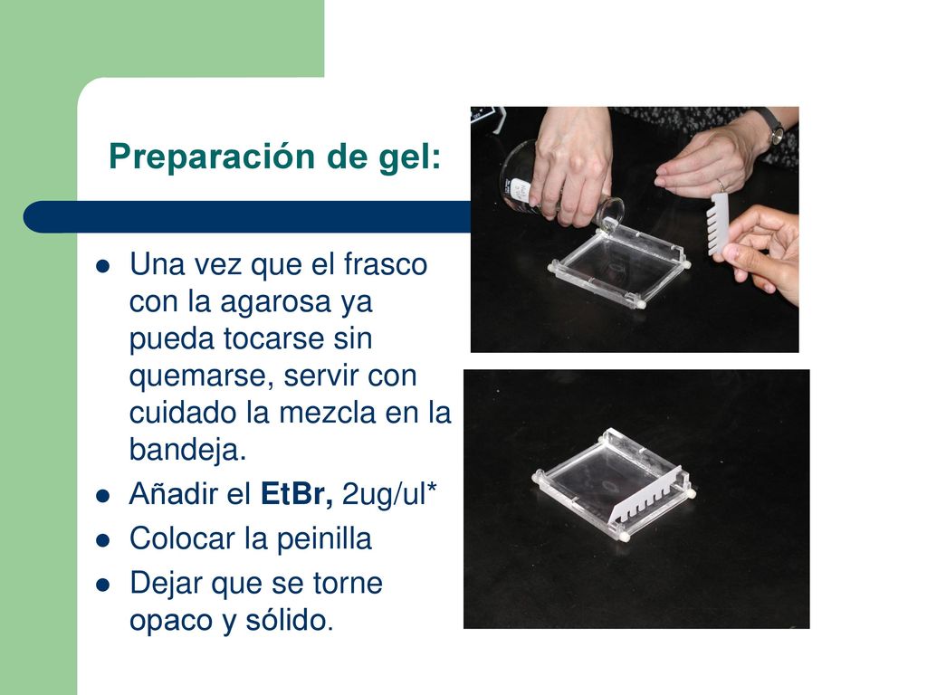 Preparación de gel: Una vez que el frasco con la agarosa ya pueda tocarse sin quemarse, servir con cuidado la mezcla en la bandeja.