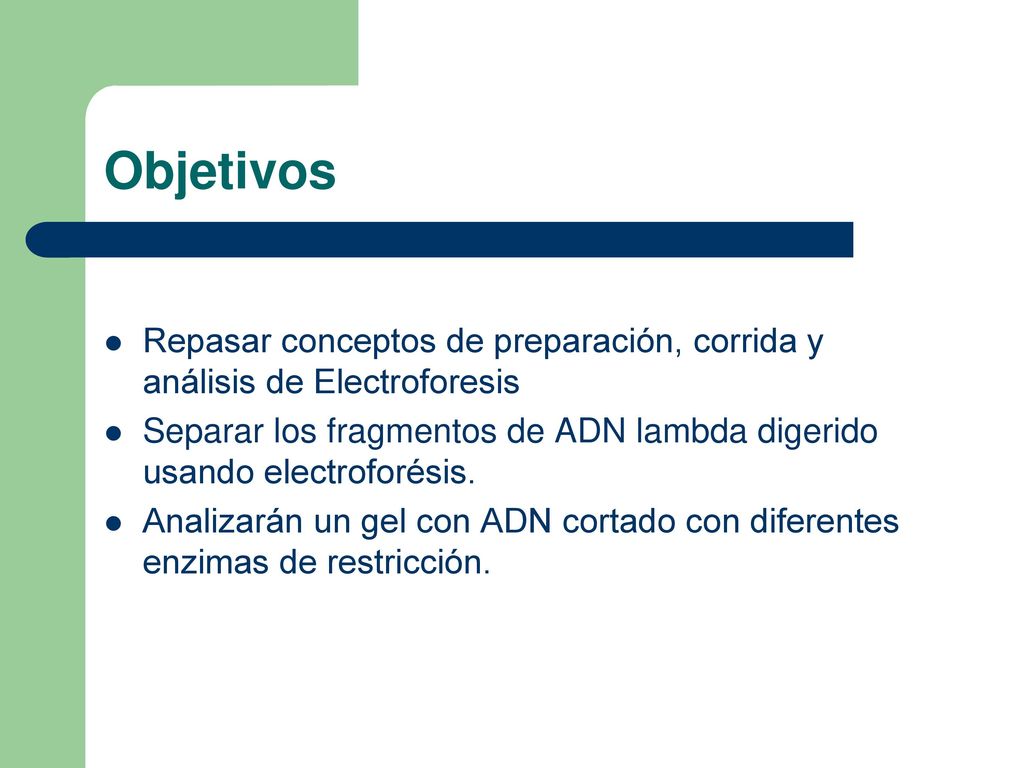 Objetivos Repasar conceptos de preparación, corrida y análisis de Electroforesis.