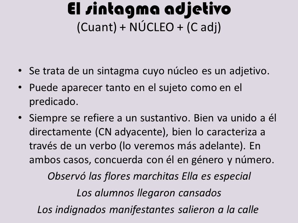 El sintagma adjetivo (Cuant) + NÚCLEO + (C adj)