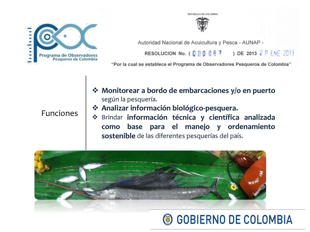 Funciones Monitorear a bordo de embarcaciones y/o en puerto según la pesquería. Analizar información biológico-pesquera.
