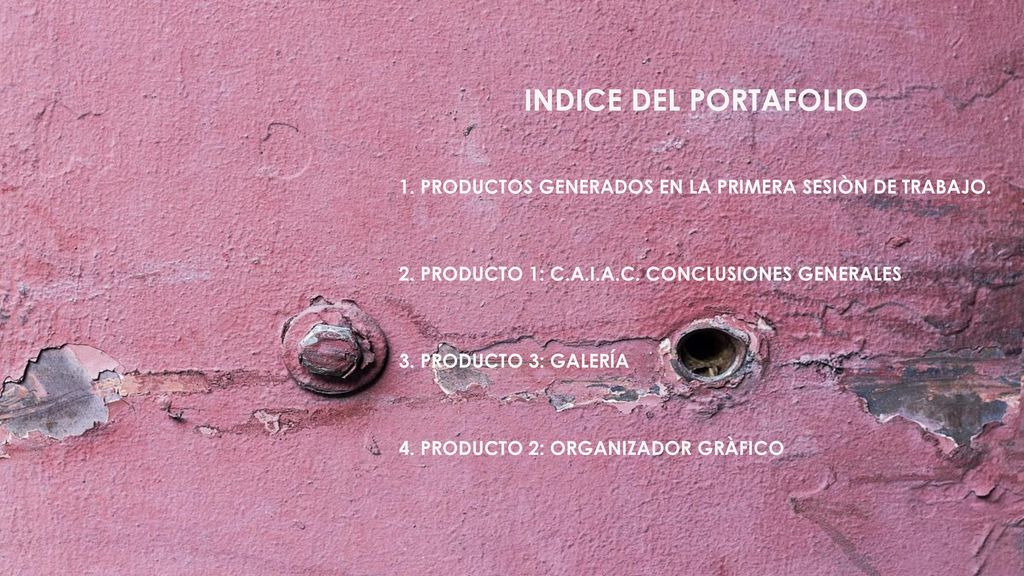 INDICE DEL PORTAFOLIO 1. PRODUCTOS GENERADOS EN LA PRIMERA SESIÒN DE TRABAJO. 2. PRODUCTO 1: C.A.I.A.C. CONCLUSIONES GENERALES.