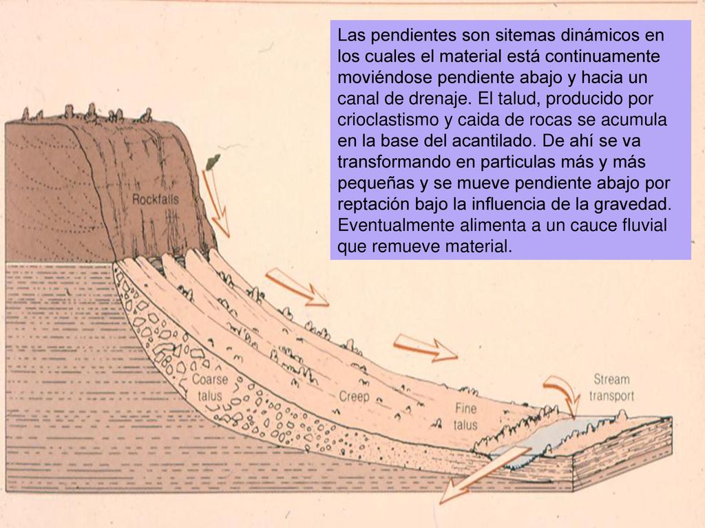 Las pendientes son sitemas dinámicos en los cuales el material está continuamente moviéndose pendiente abajo y hacia un canal de drenaje.