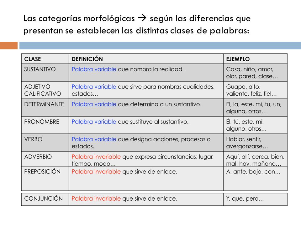 Las categorías morfológicas  según las diferencias que presentan se establecen las distintas clases de palabras: