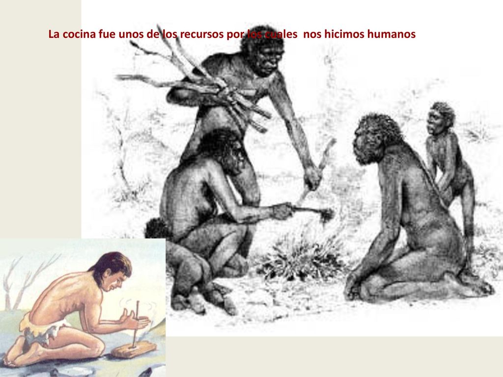 La cocina fue unos de los recursos por los cuales nos hicimos humanos