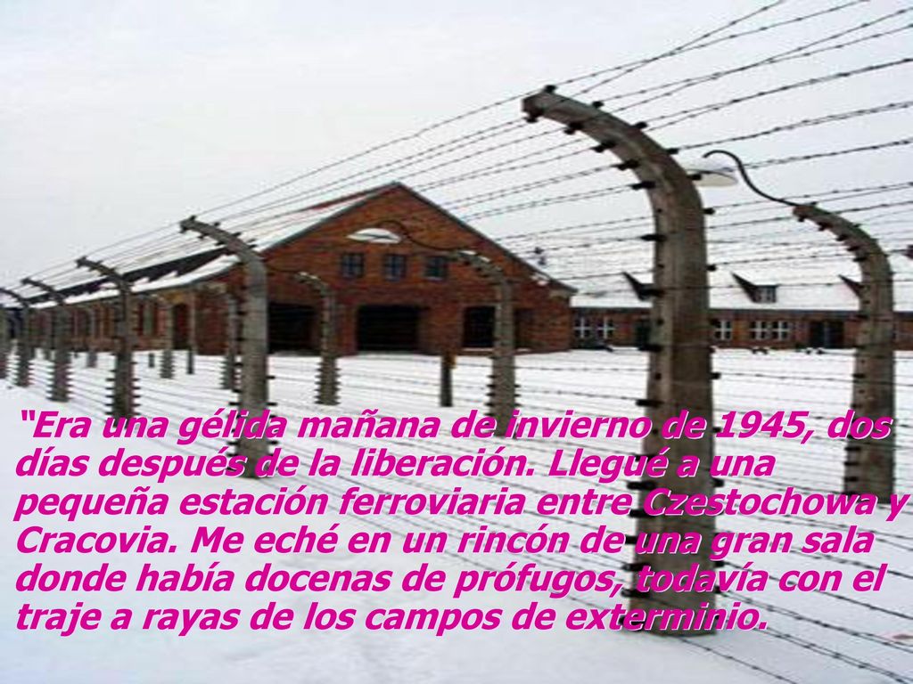 Era una gélida mañana de invierno de 1945, dos días después de la liberación.