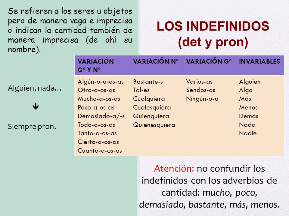 LOS INDEFINIDOS (det y pron)