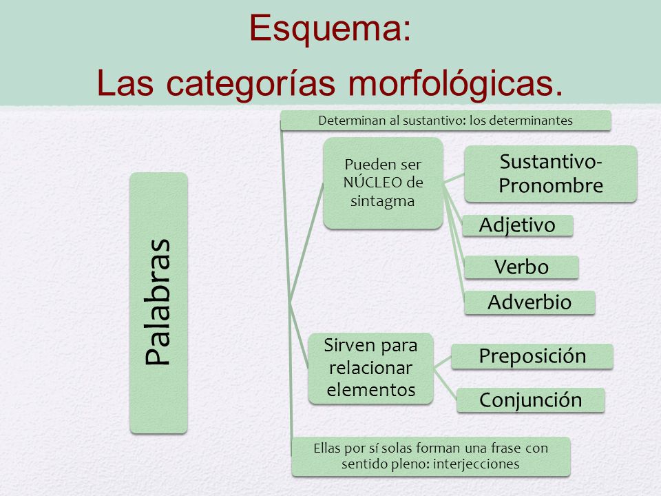 Esquema: Las categorías morfológicas.