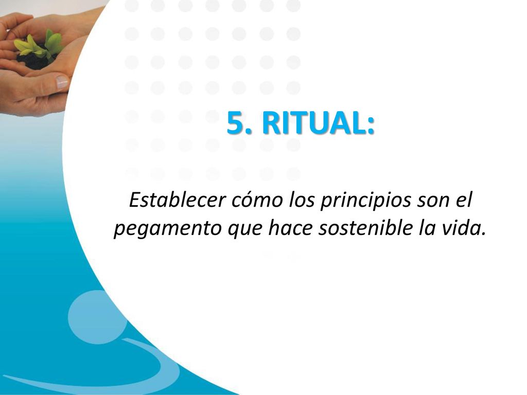 5. RITUAL: Establecer cómo los principios son el pegamento que hace sostenible la vida.