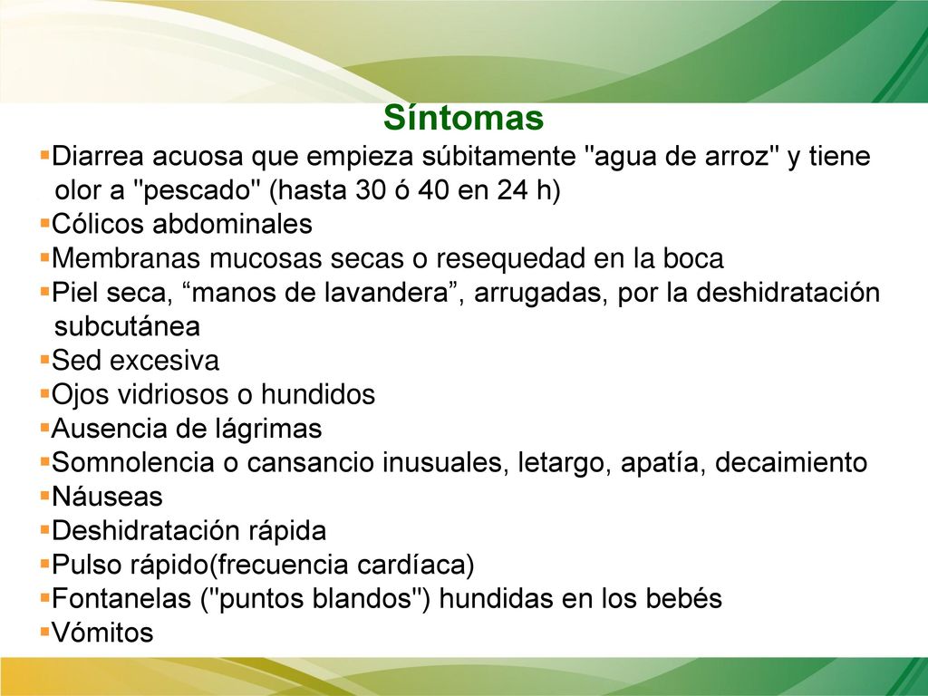 Síntomas Diarrea acuosa que empieza súbitamente agua de arroz y tiene . olor a pescado (hasta 30 ó 40 en 24 h)