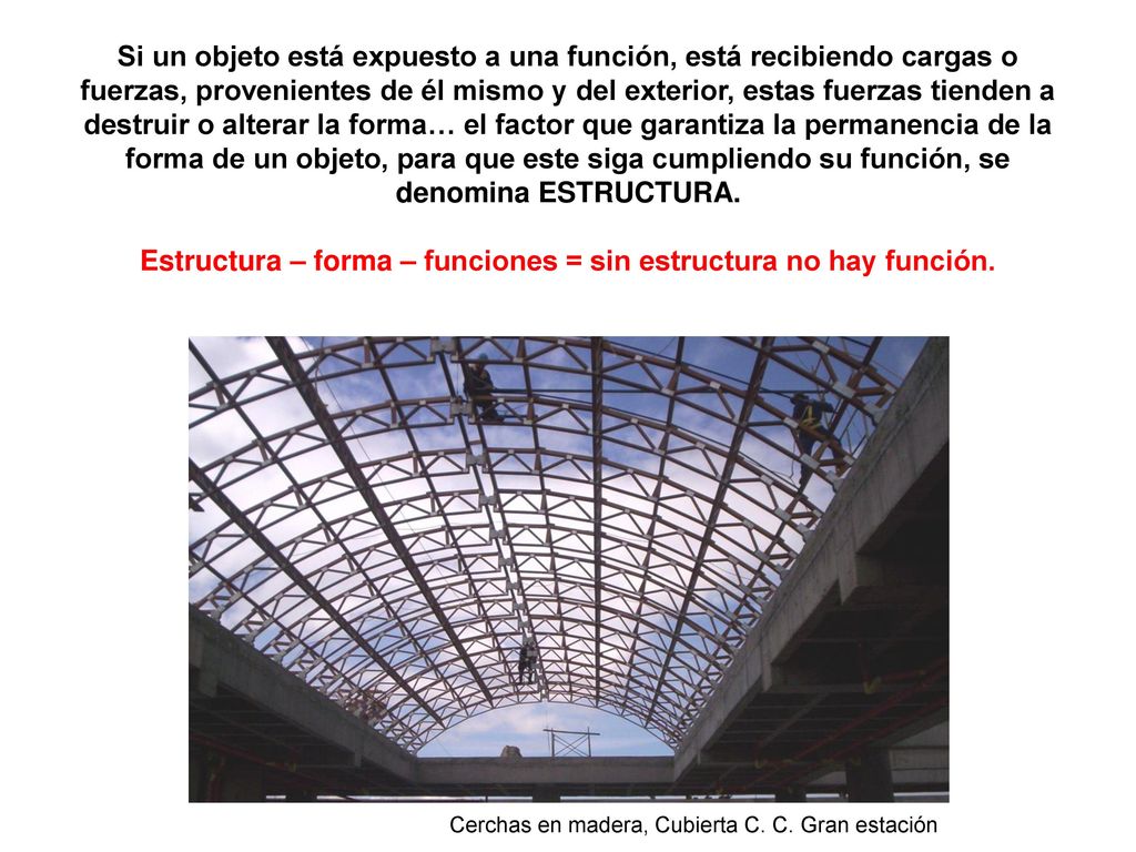 Estructura – forma – funciones = sin estructura no hay función.