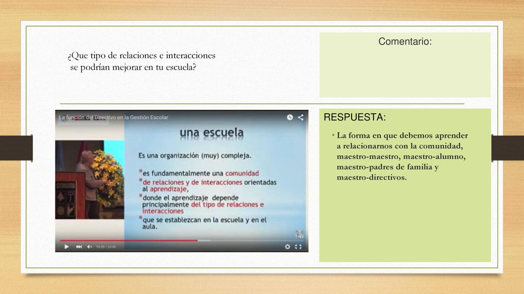 ¿Que tipo de relaciones e interacciones