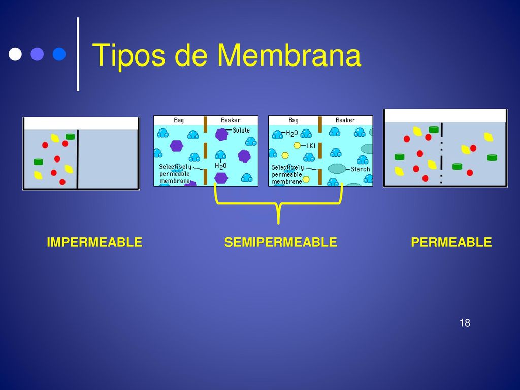 Tipos de Membrana IMPERMEABLE SEMIPERMEABLE PERMEABLE