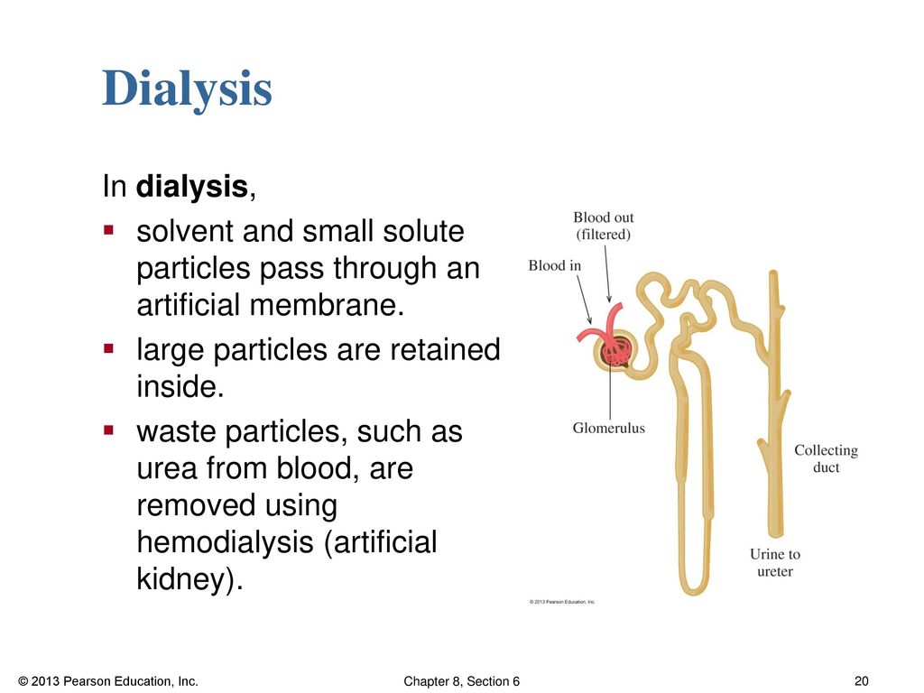 Dialysis In dialysis, solvent and small solute particles pass through an artificial membrane. large particles are retained inside.