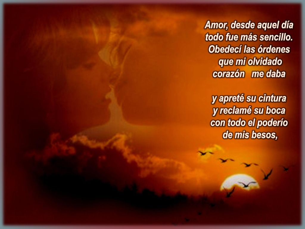 Amor, desde aquel día todo fue más sencillo. Obedecí las órdenes