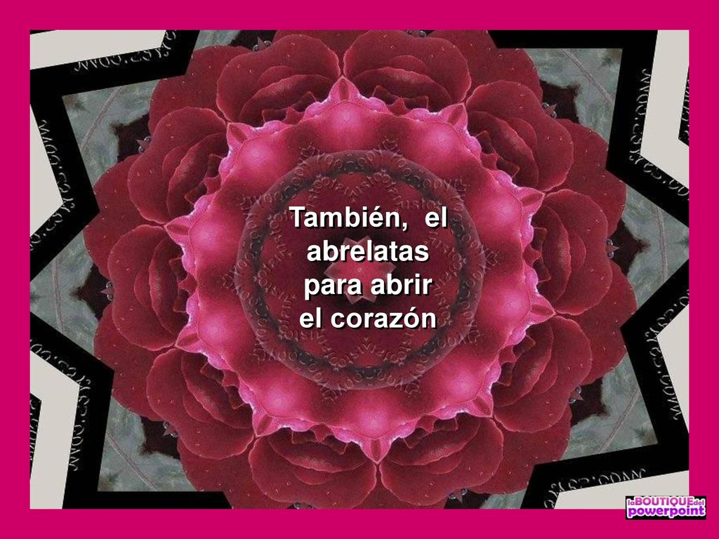 También, el abrelatas para abrir el corazón