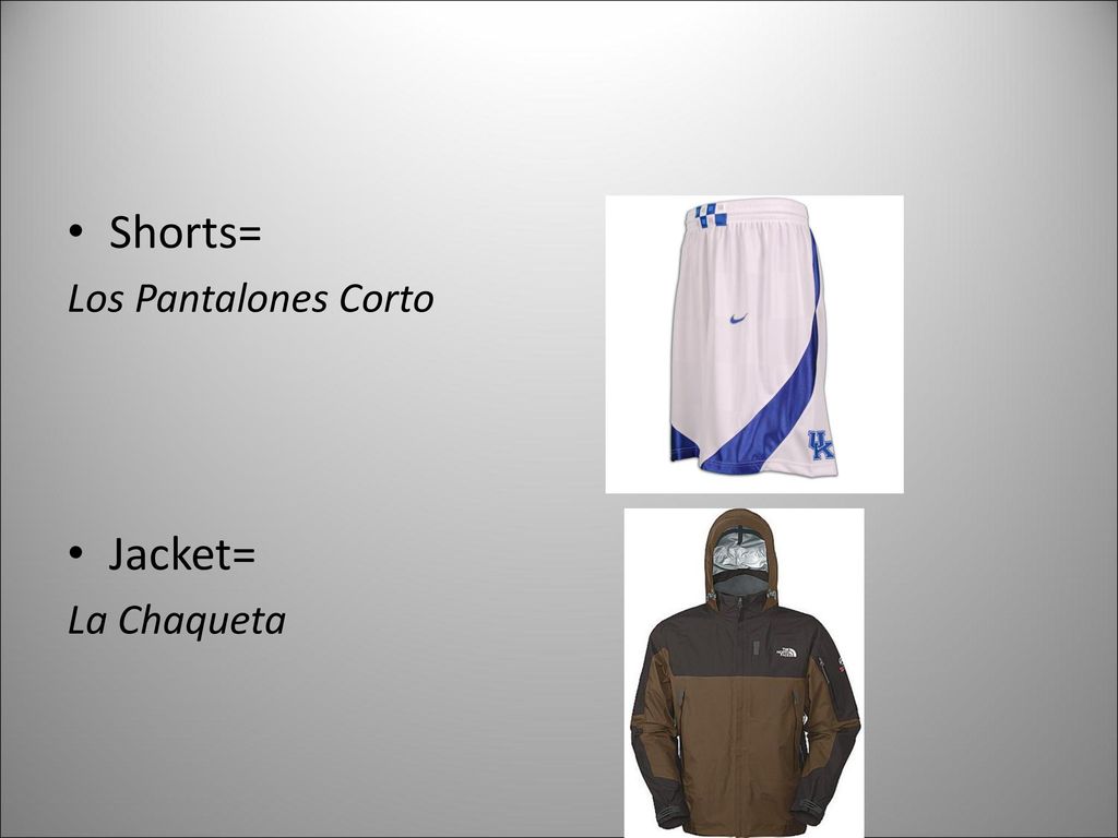 Shorts= Los Pantalones Corto Jacket= La Chaqueta