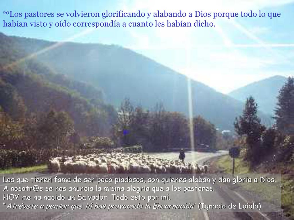 20Los pastores se volvieron glorificando y alabando a Dios porque todo lo que habían visto y oído correspondía a cuanto les habían dicho.