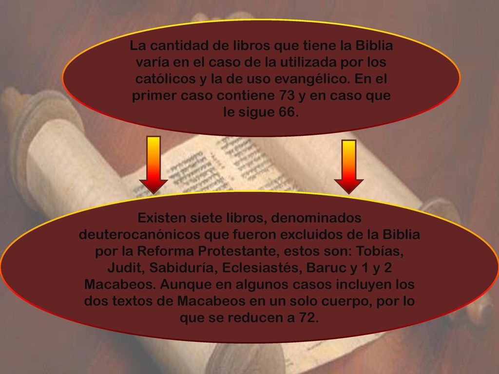 La cantidad de libros que tiene la Biblia varía en el caso de la utilizada por los católicos y la de uso evangélico. En el primer caso contiene 73 y en caso que le sigue 66.