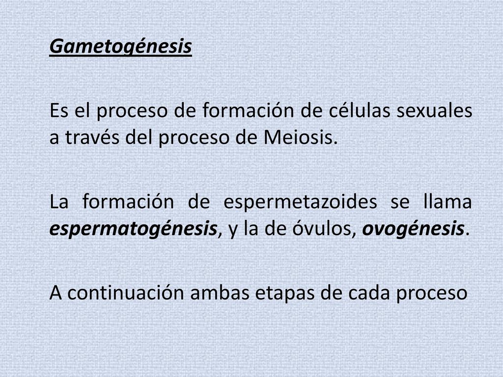 Gametogénesis Es el proceso de formación de células sexuales a través del proceso de Meiosis.