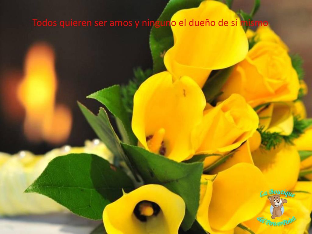 Todos quieren ser amos y ninguno el dueño de sí mismo