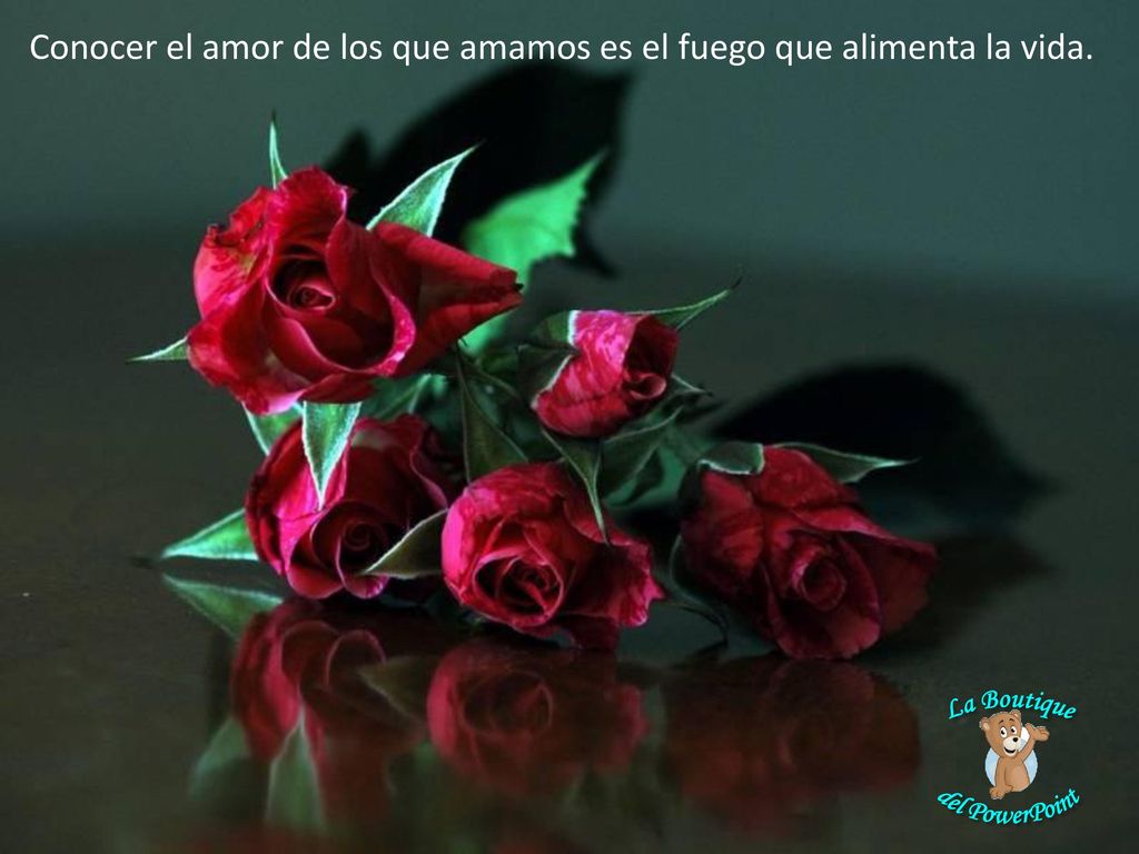 Conocer el amor de los que amamos es el fuego que alimenta la vida.