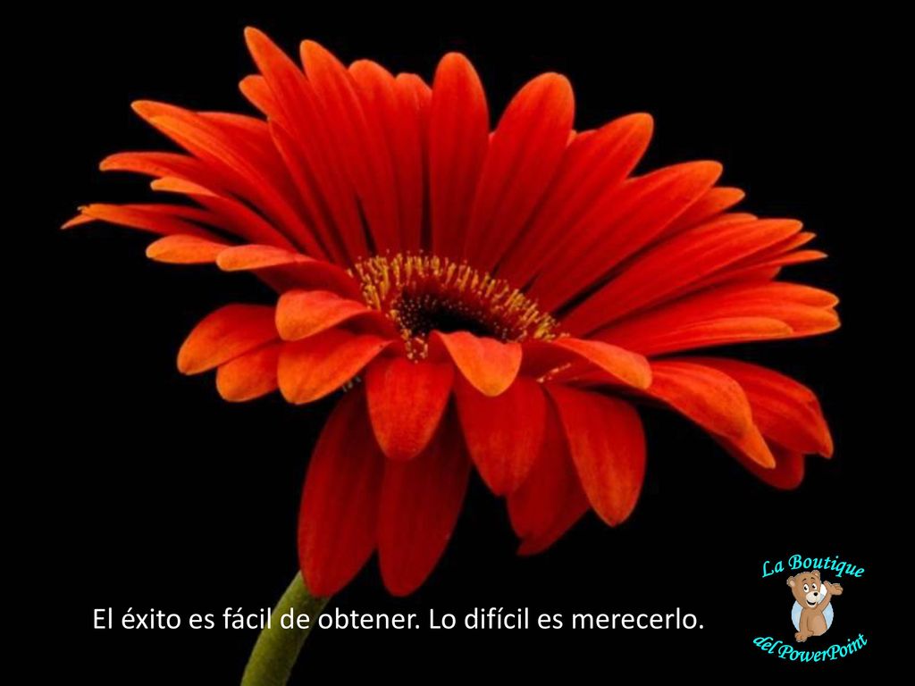 El éxito es fácil de obtener. Lo difícil es merecerlo.