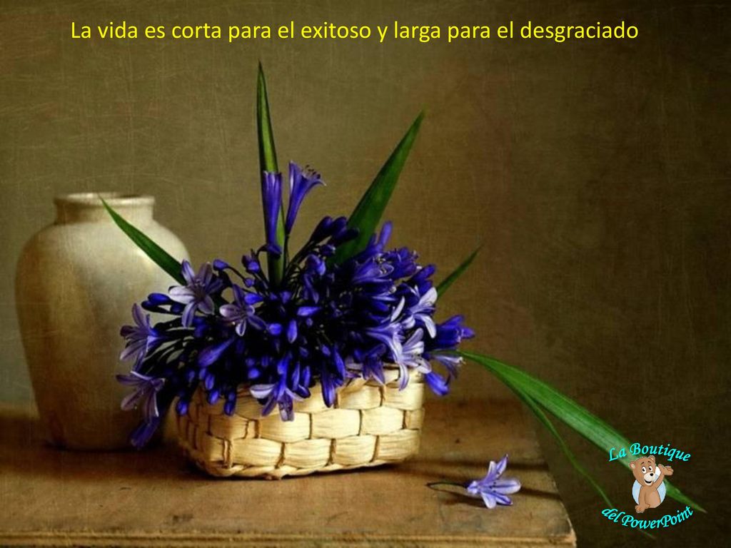 La vida es corta para el exitoso y larga para el desgraciado
