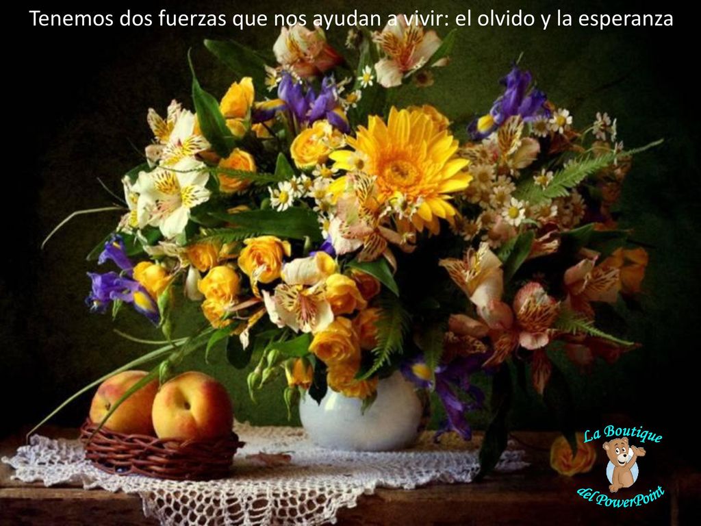 Tenemos dos fuerzas que nos ayudan a vivir: el olvido y la esperanza