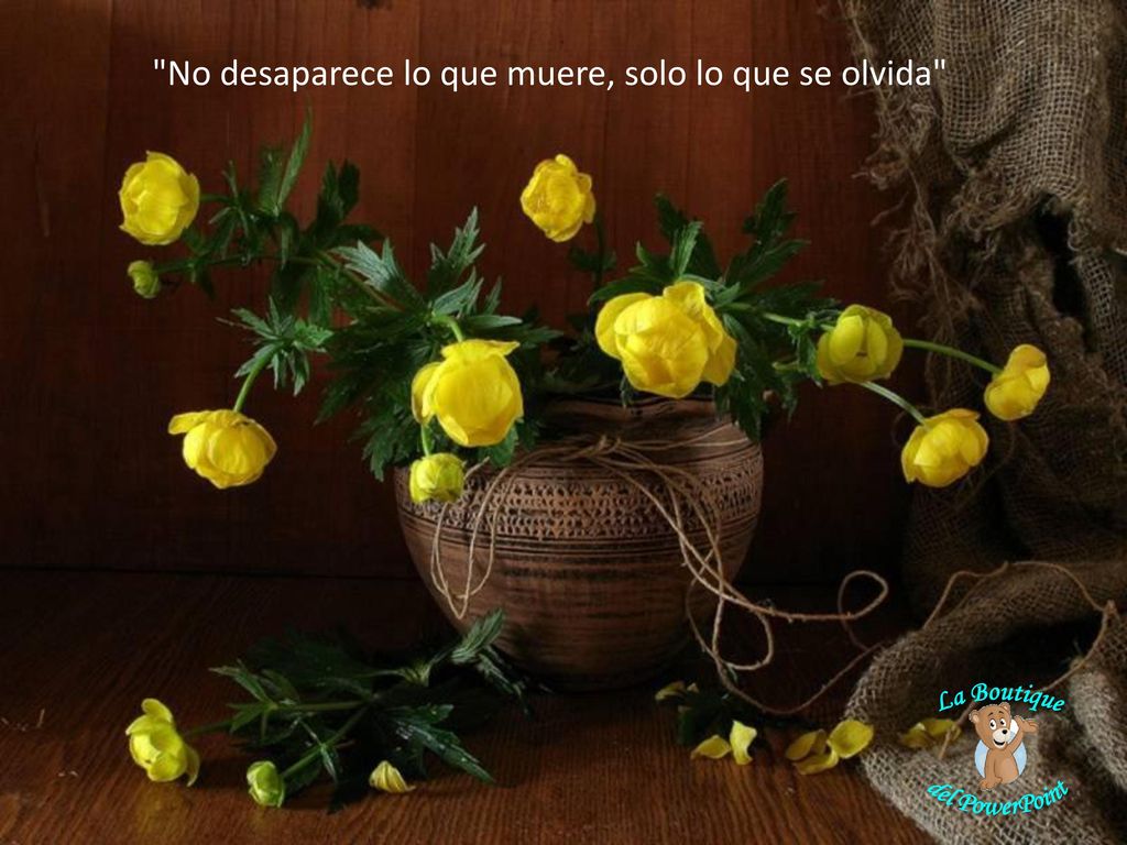 No desaparece lo que muere, solo lo que se olvida