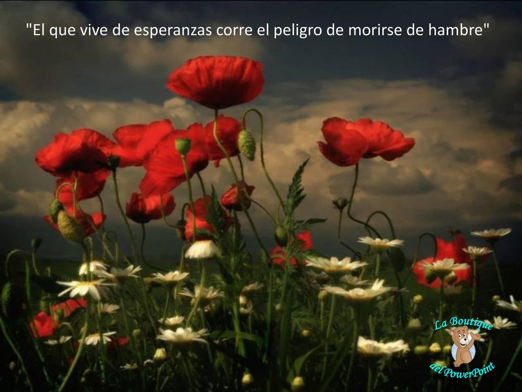 El que vive de esperanzas corre el peligro de morirse de hambre