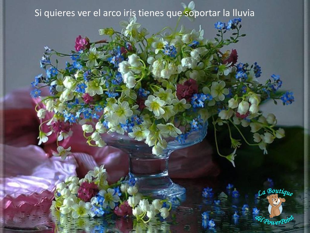 Si quieres ver el arco iris tienes que soportar la lluvia