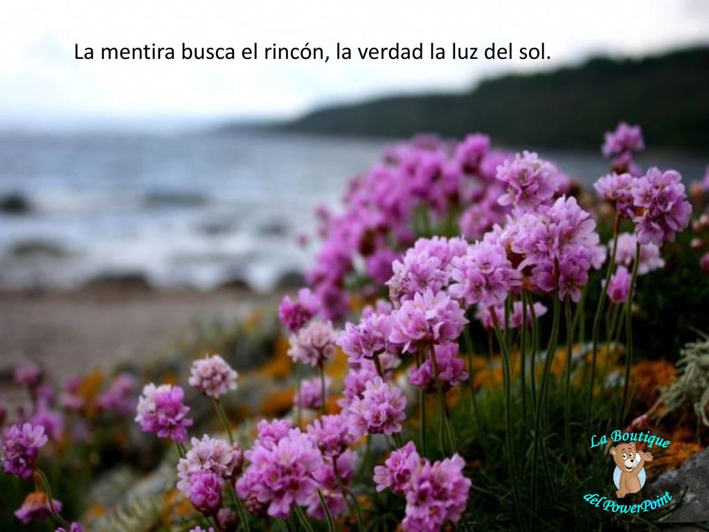 La mentira busca el rincón, la verdad la luz del sol.