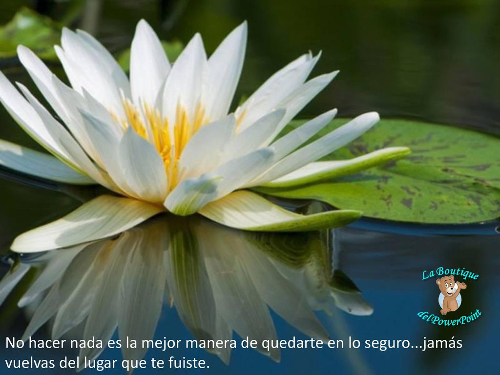 No hacer nada es la mejor manera de quedarte en lo seguro
