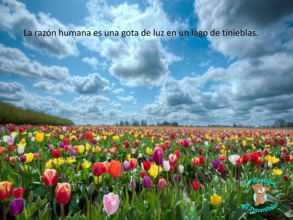 La razón humana es una gota de luz en un lago de tinieblas.