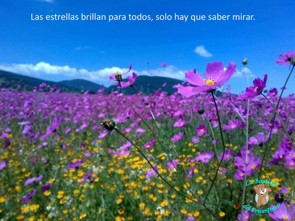 Las estrellas brillan para todos, solo hay que saber mirar.