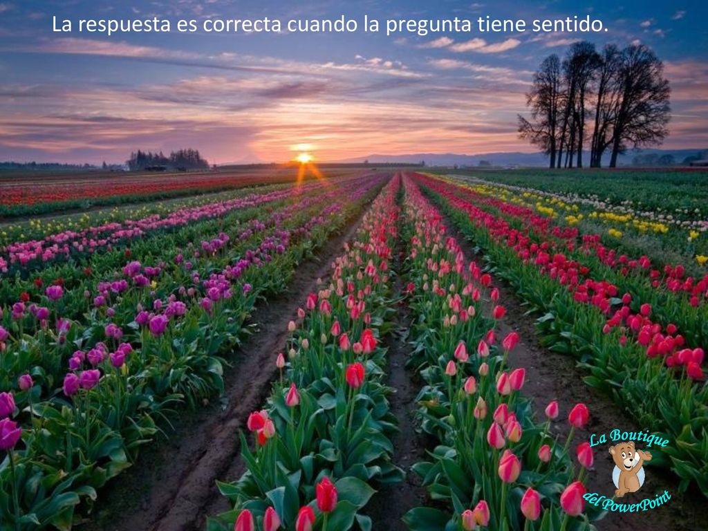 La respuesta es correcta cuando la pregunta tiene sentido.