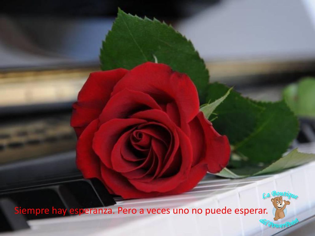 Siempre hay esperanza. Pero a veces uno no puede esperar.
