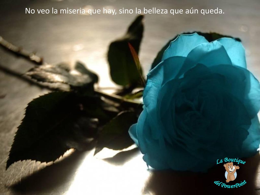 No veo la miseria que hay, sino la belleza que aún queda.