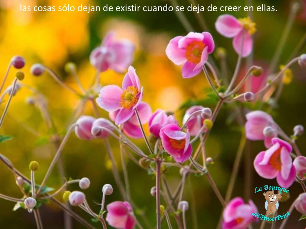 las cosas sólo dejan de existir cuando se deja de creer en ellas.