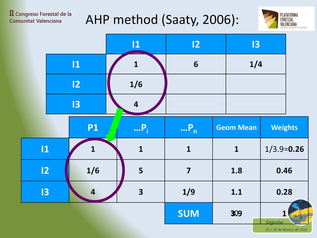 AHP method (Saaty, 2006): I1 I2 I3 P1 …Pi …Pn I1 I2 I3 SUM 1 6 1/4 1/6