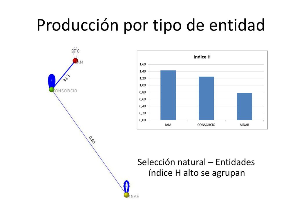 Producción por tipo de entidad