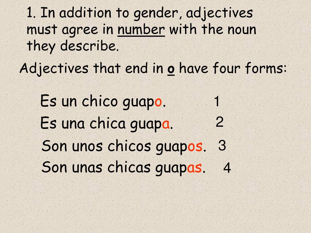 Es un chico guapo. Es una chica guapa. Son unos chicos guapos.