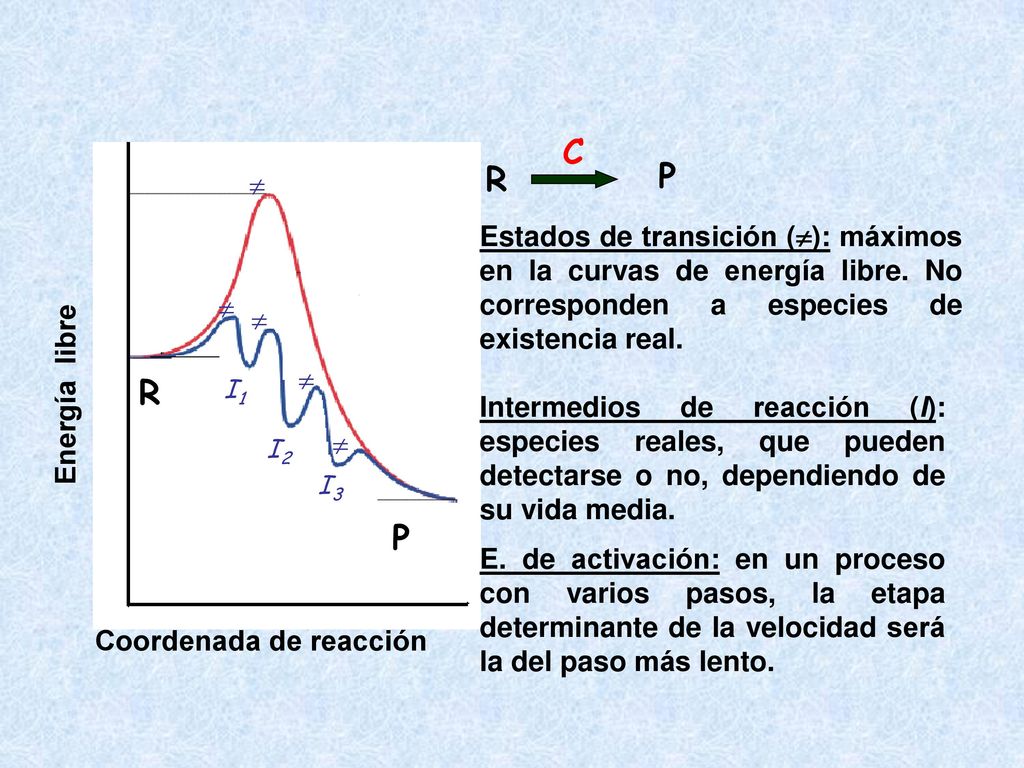 C R. P.  Estados de transición (): máximos en la curvas de energía libre. No corresponden a especies de existencia real.