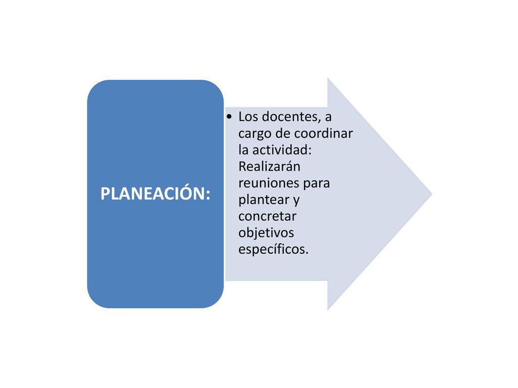 PLANEACIÓN: Los docentes, a cargo de coordinar la actividad: Realizarán reuniones para plantear y concretar objetivos específicos.