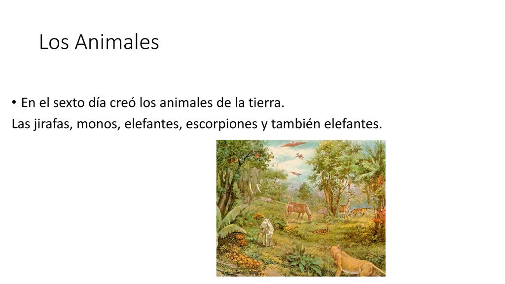 Los Animales En el sexto día creó los animales de la tierra.